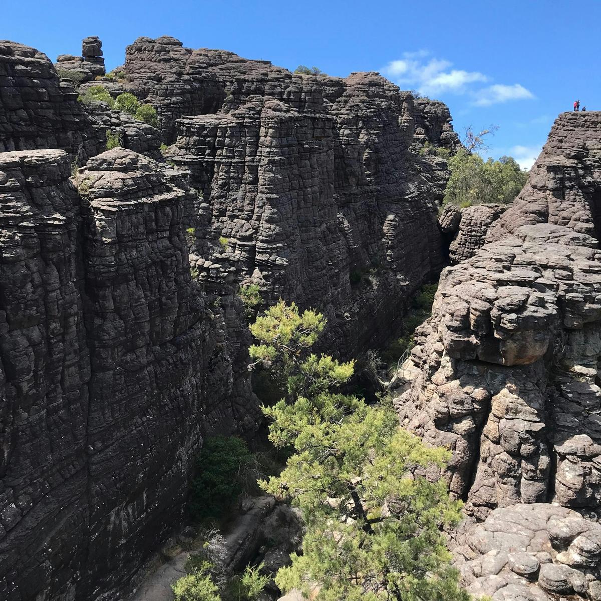 Grampians/Gariwerd Highlights tour