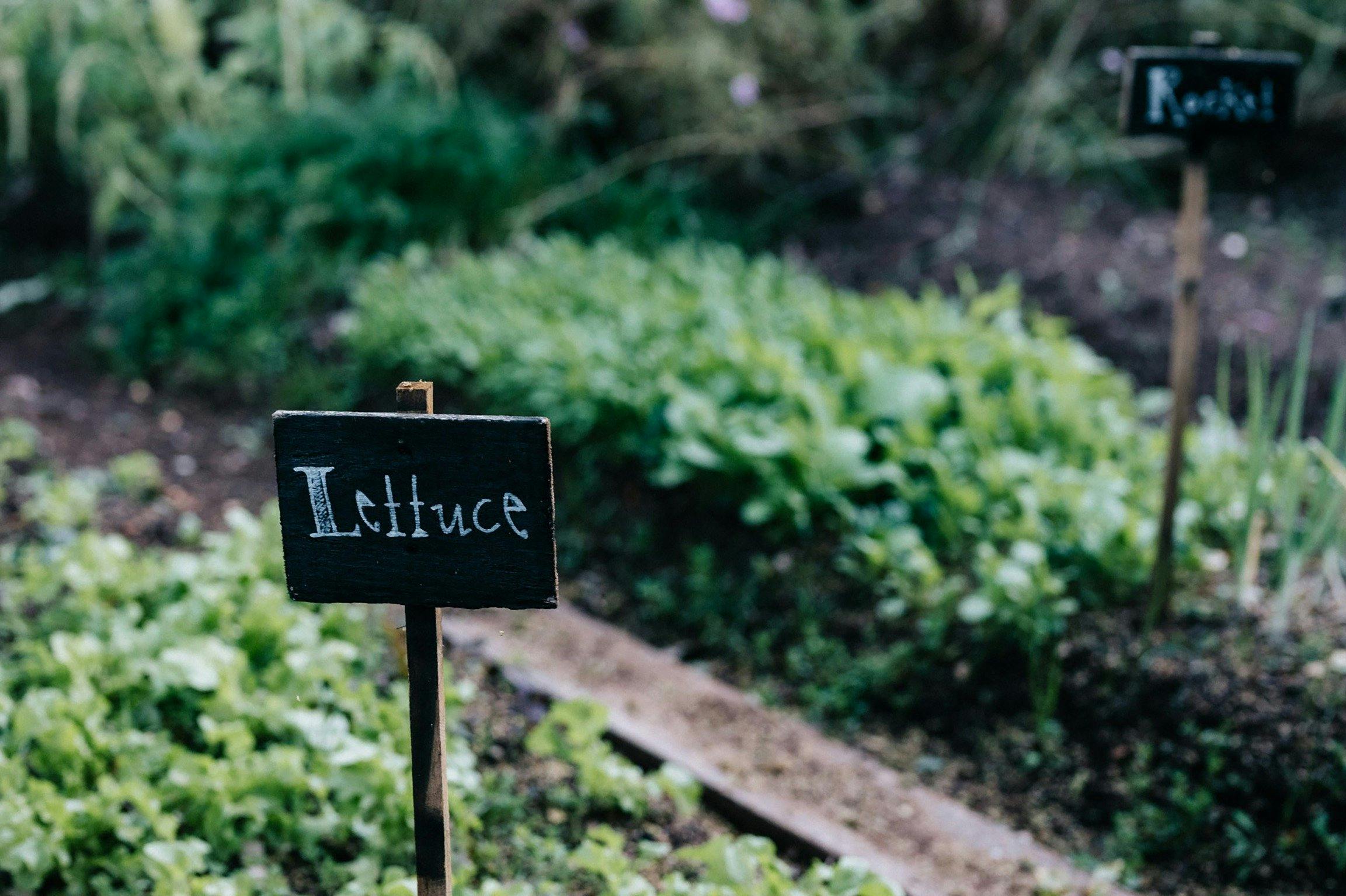 Potager Gardens - Grown Sustainably