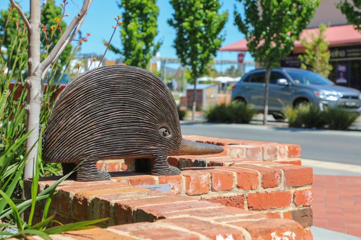 Echidna by Dean Bowen