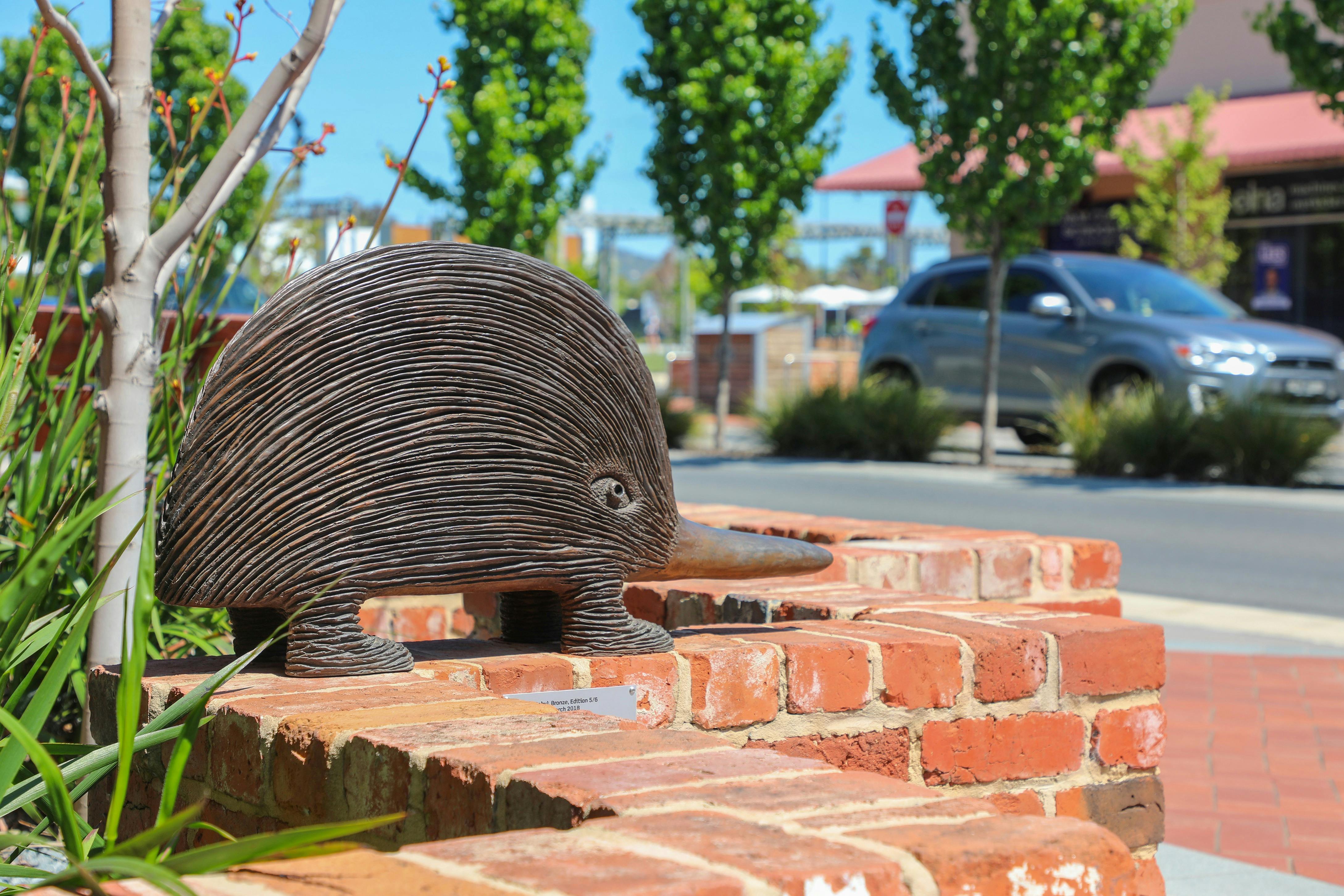 Echidna by Dean Bowen