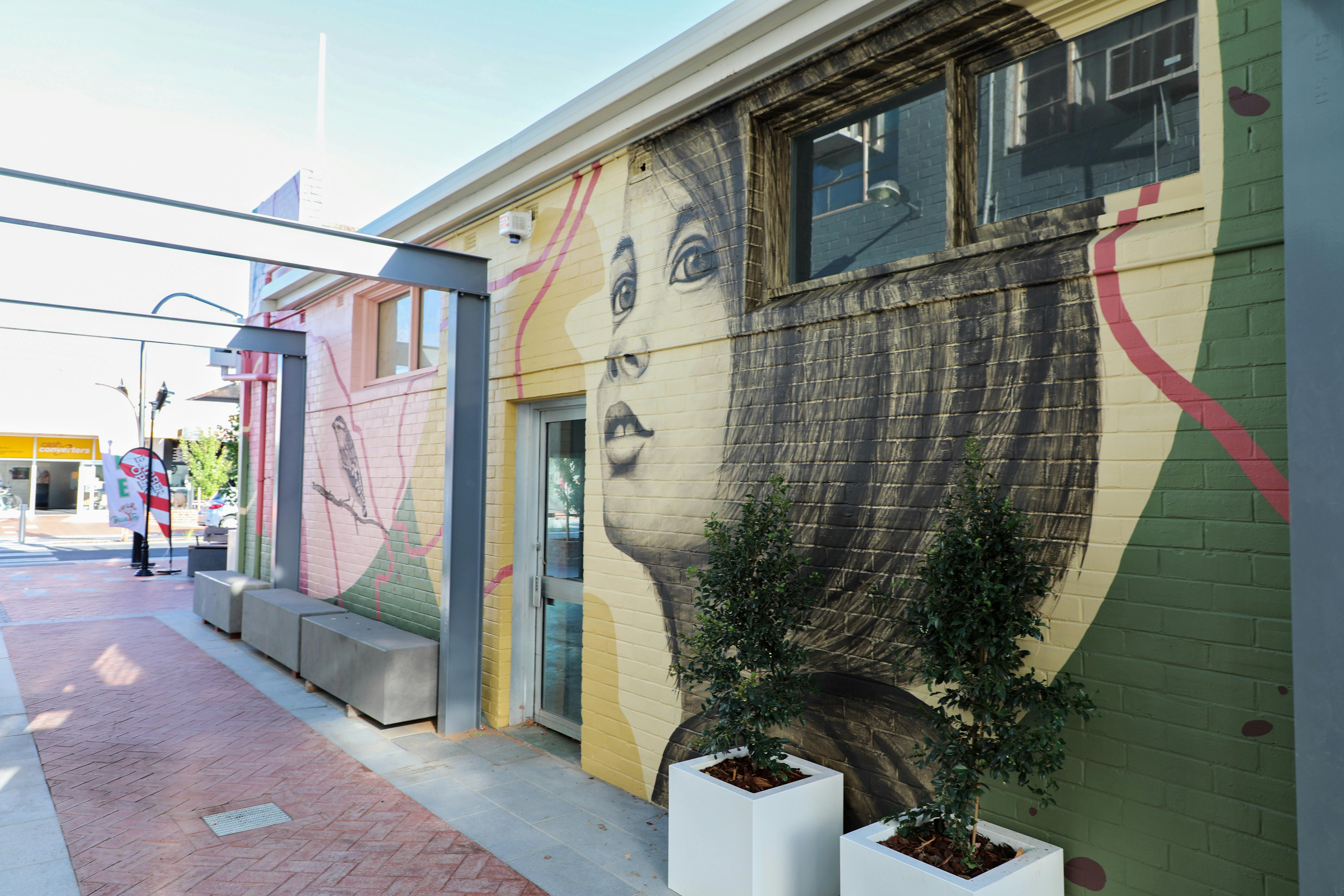 Vanguard by Kirrily Anderson