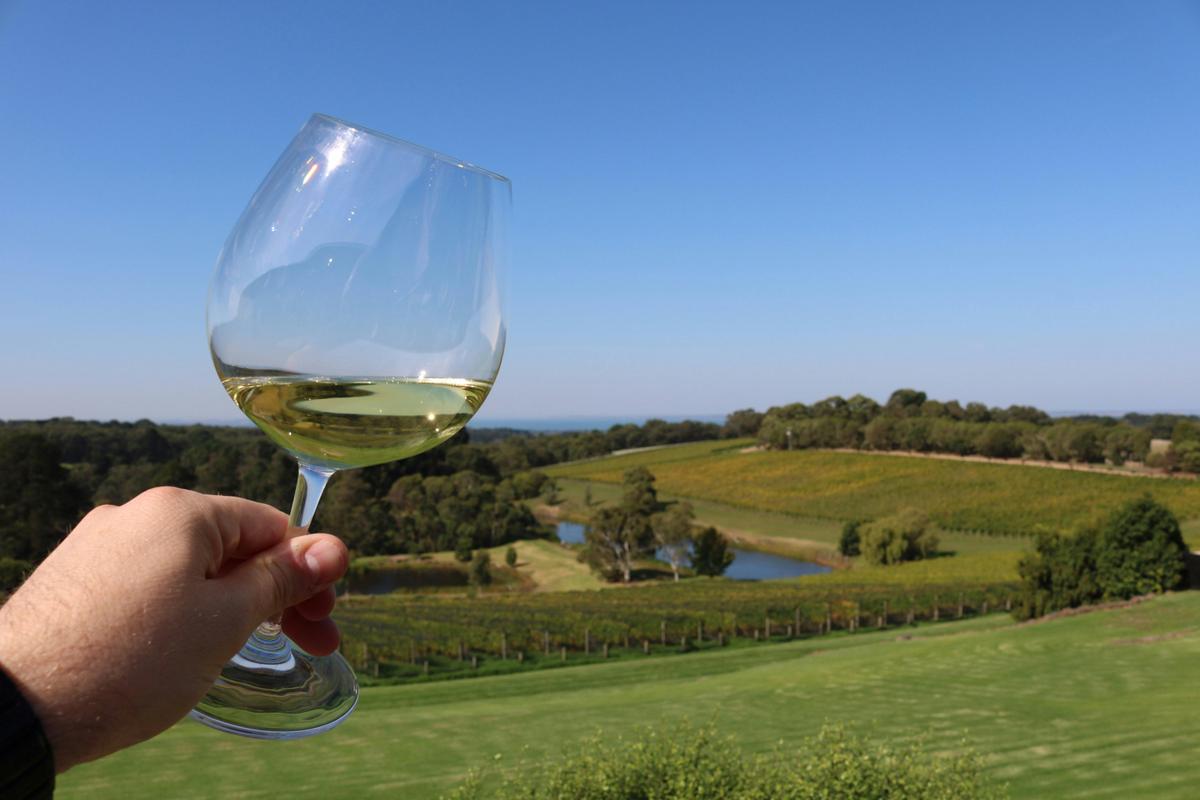 Wine Tasting Mornington Peninsula
