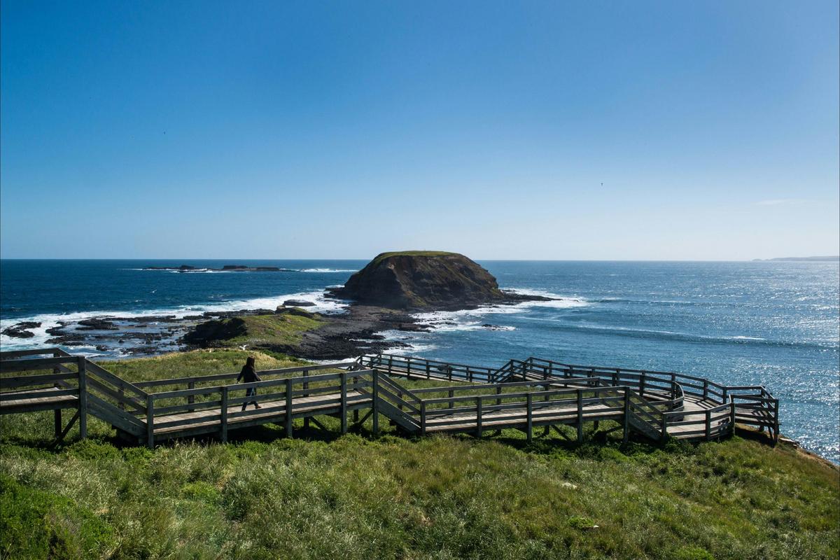 Phillip Island Private Tour