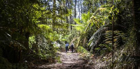 Ada No.2 Mill to High Lead