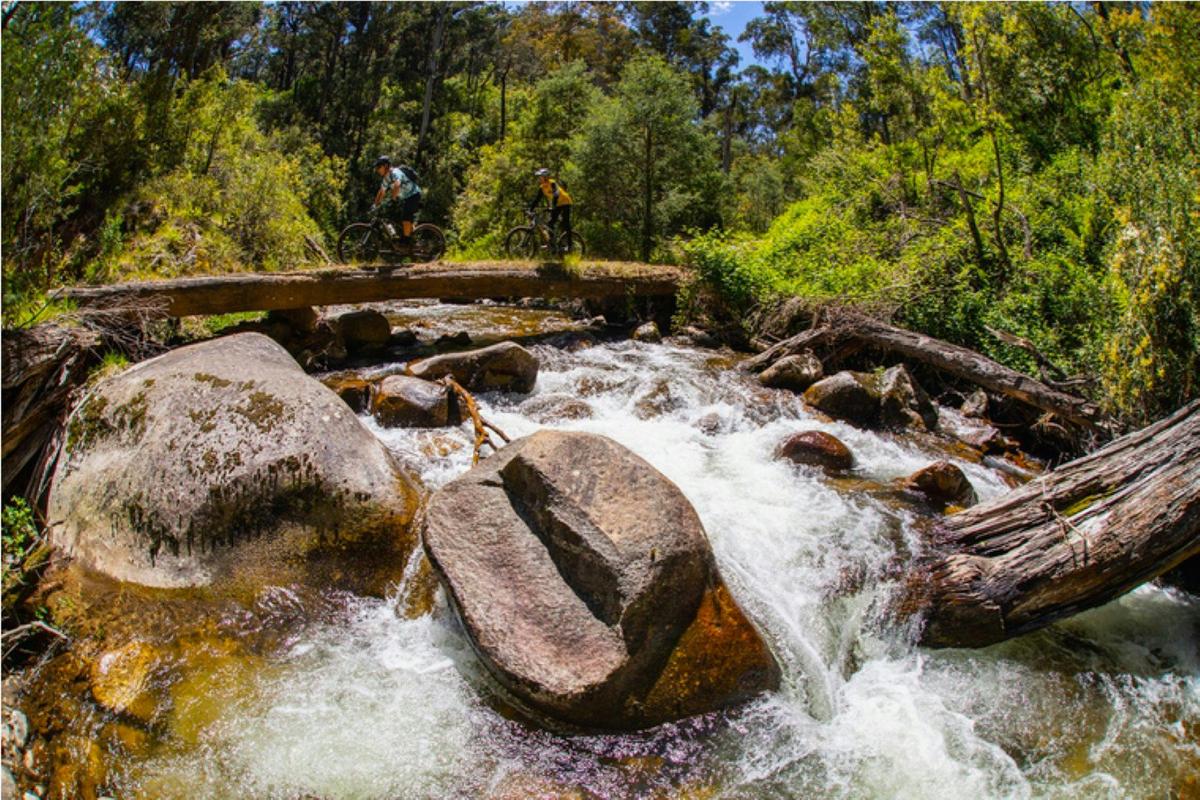 Delatite River Trail