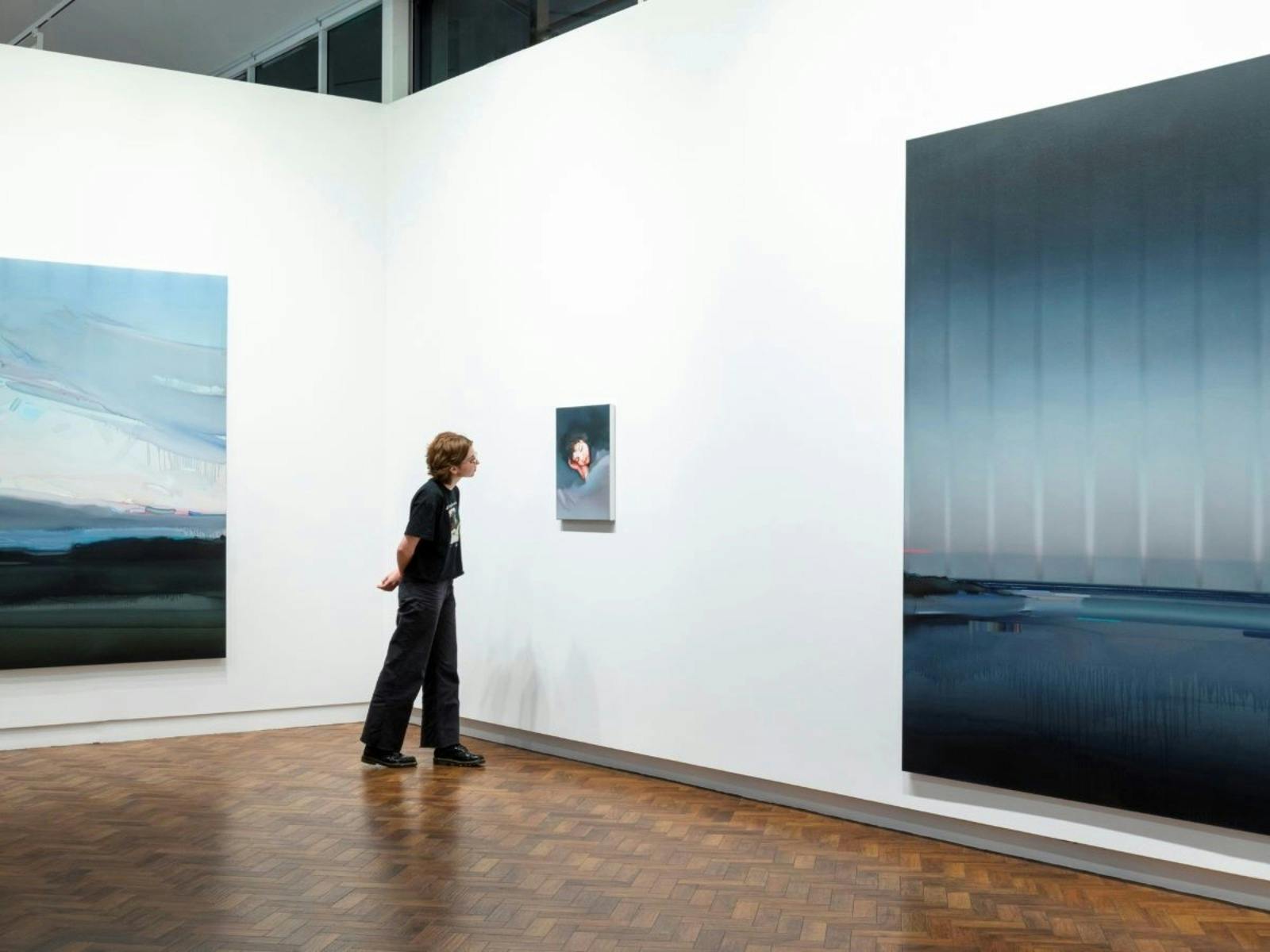 Goulburn Regional Art Gallery Installation view Julian Meagher The Green Ray