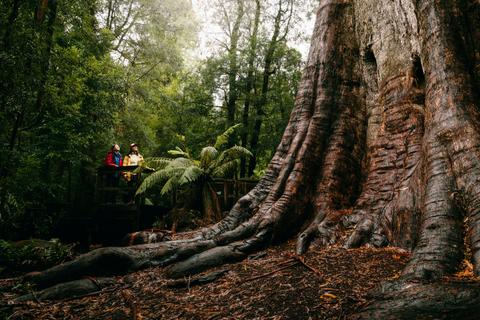 Ada Tree Walk