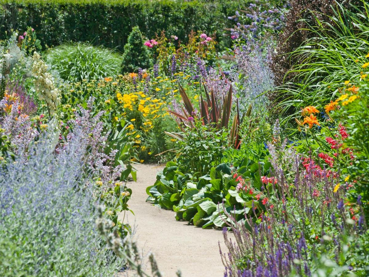 The Perennial Boarder