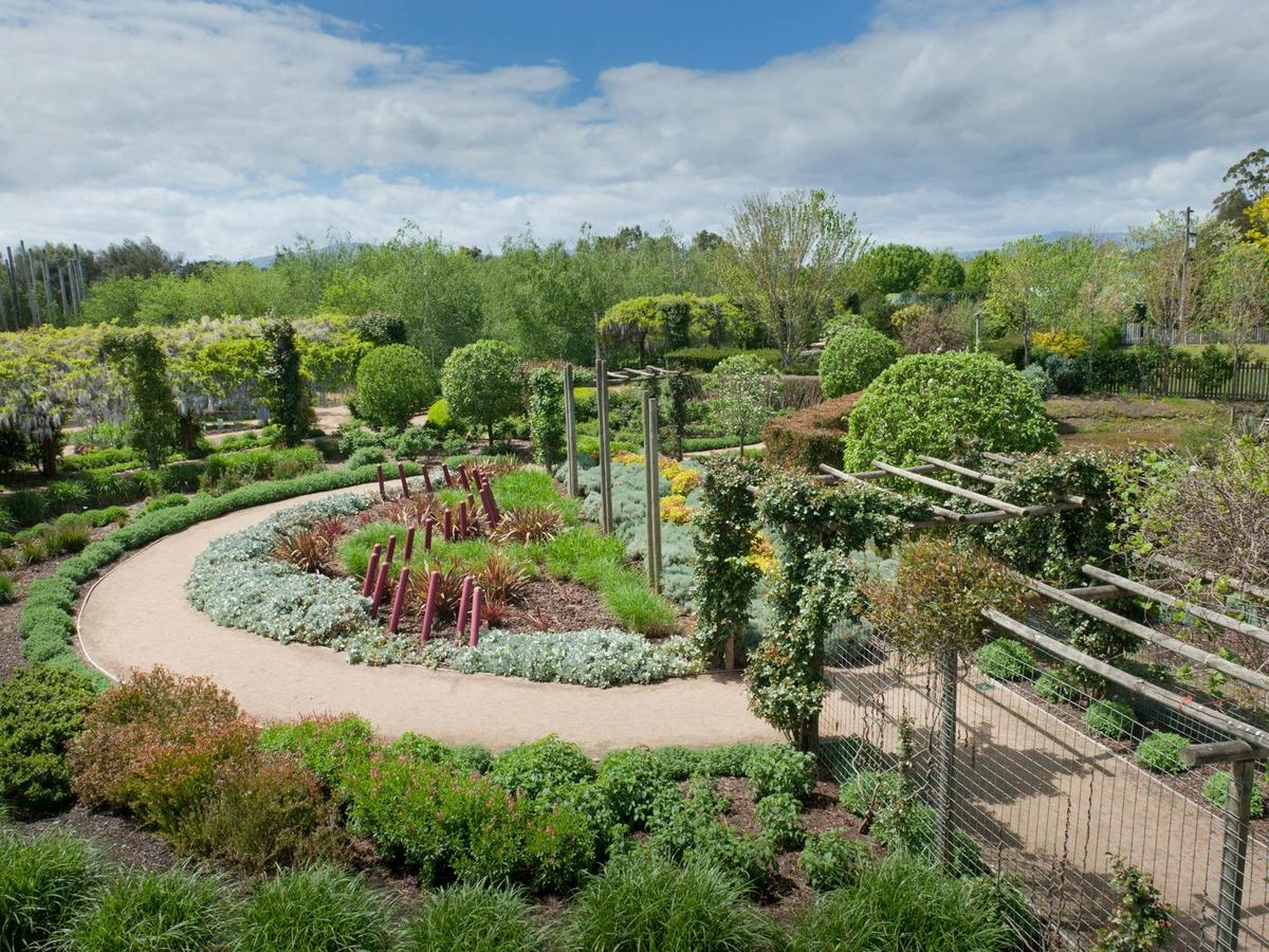 An aerial view looking down on a path circling green plants and a wave of arranged red poles.