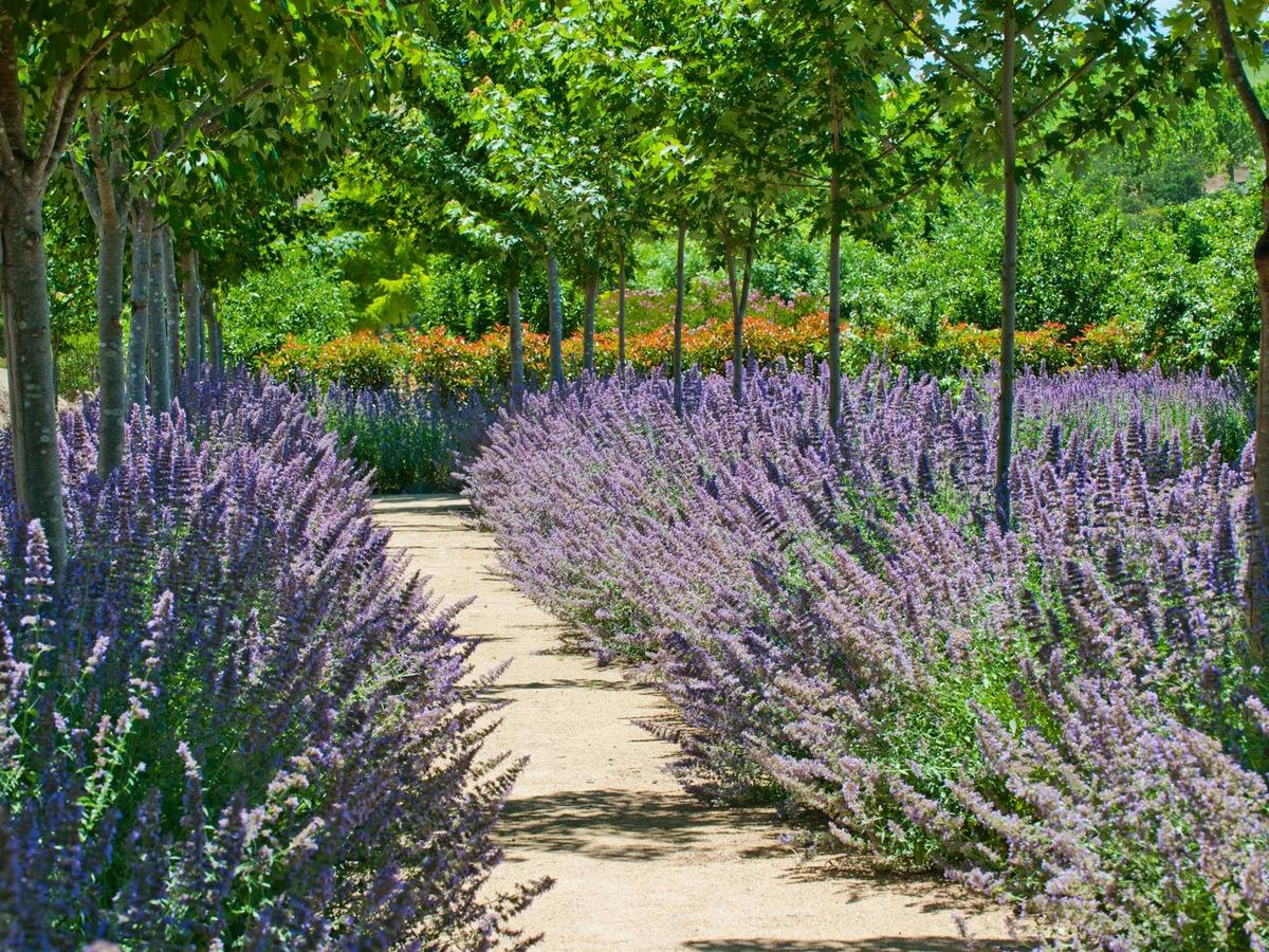 Garden Walk