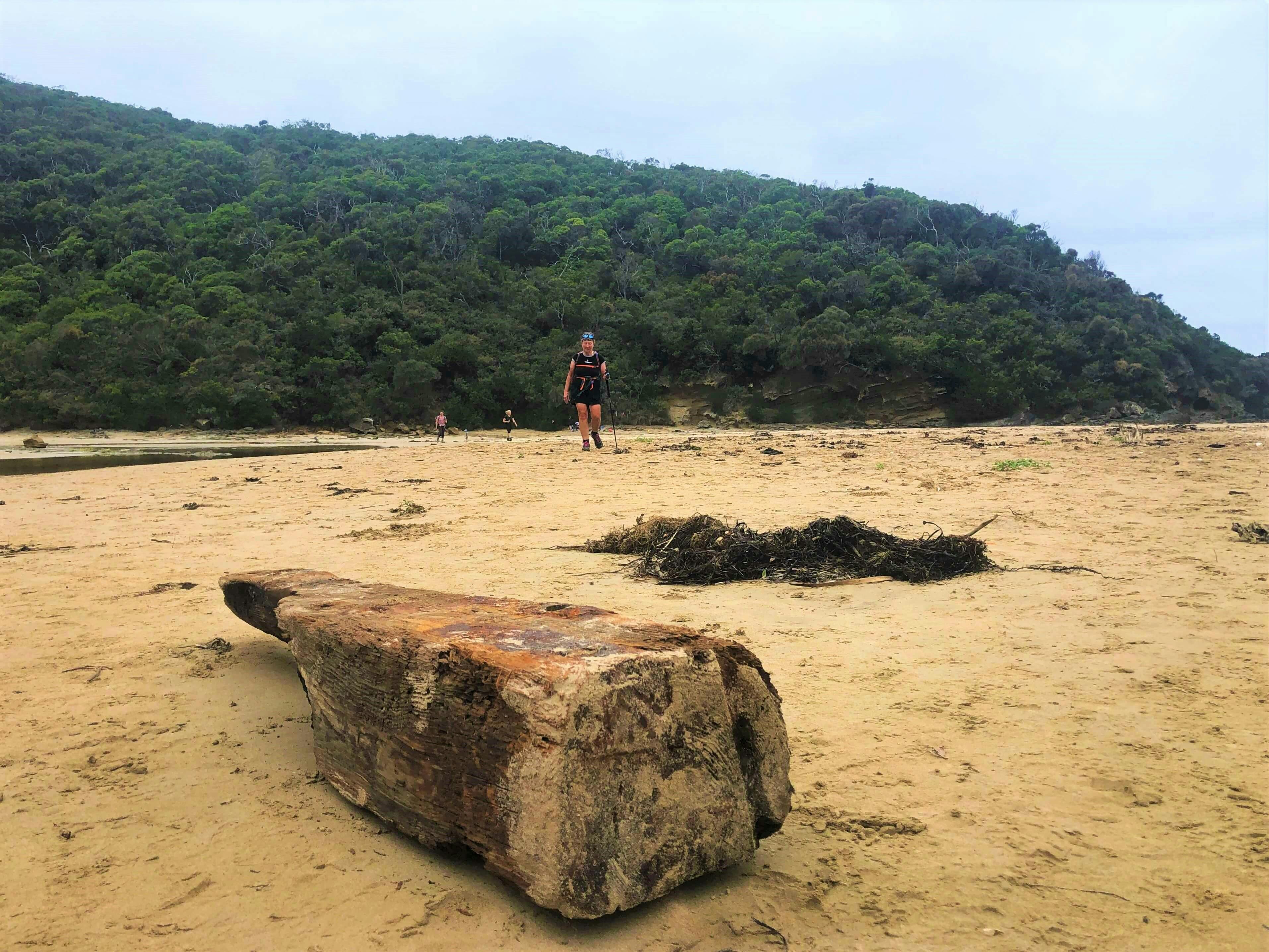 AllTrails Tours Great Ocean Walk Tour