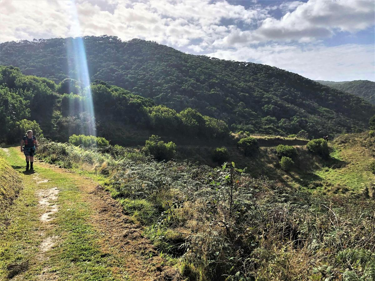 AllTrails Tours Great Ocean Walk Tour