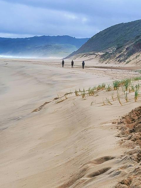 Great Ocean Walk