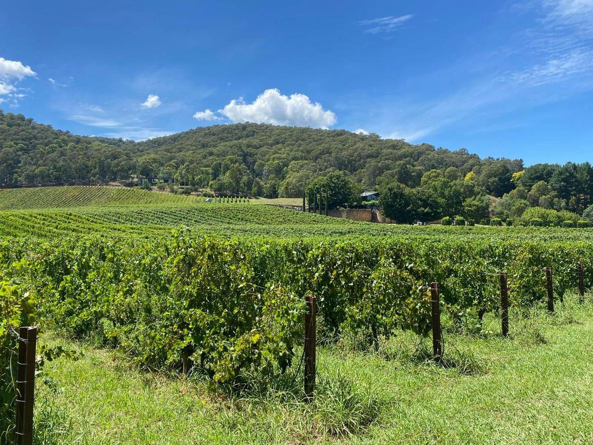 AllTrails High Country Rail Trails Cycle Tour Gallery