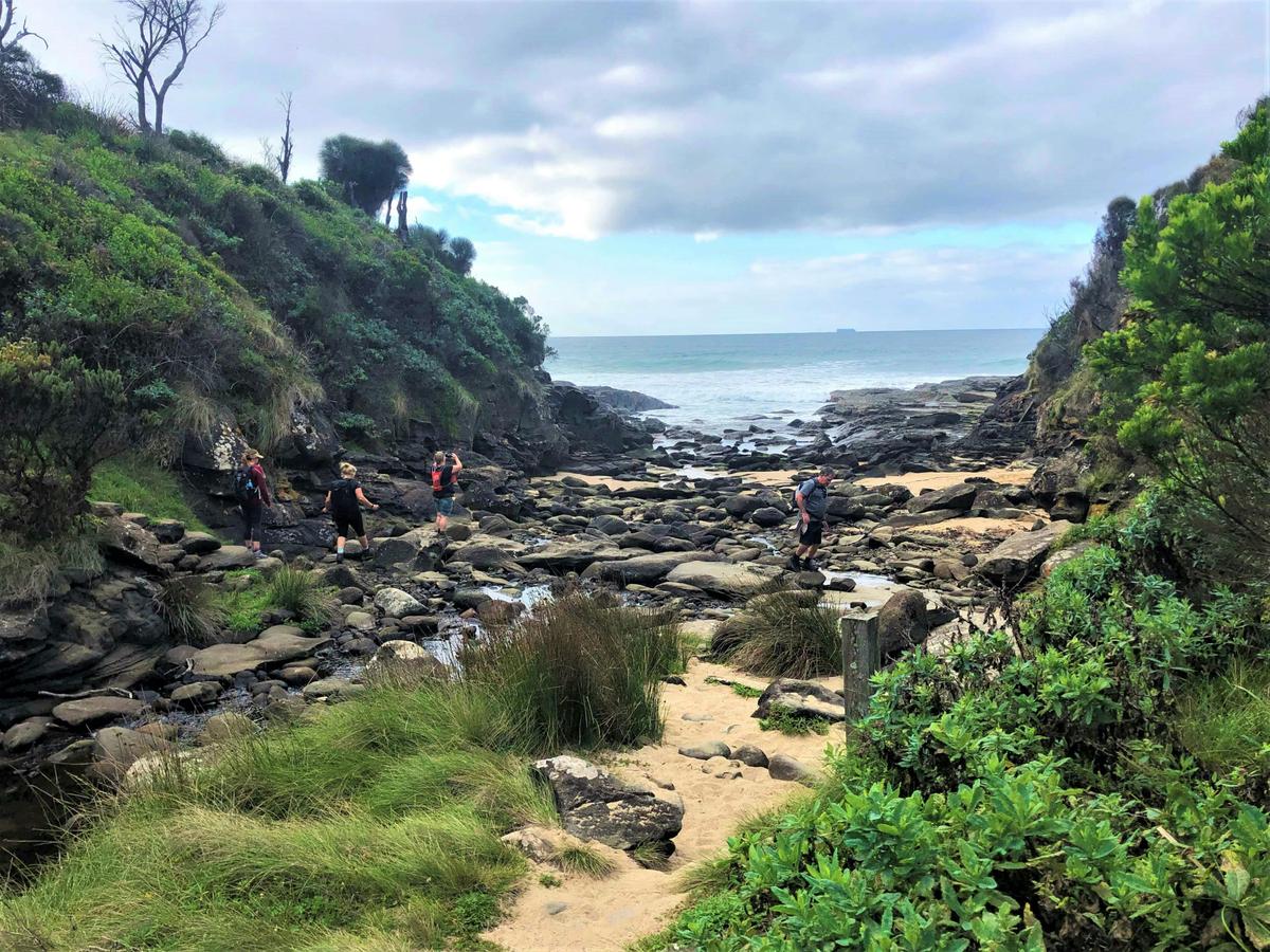 AllTrails Tours Great Ocean Walk Tour