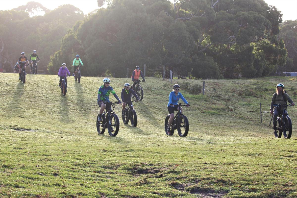 AllTrails Cycle Tours Slow Ocean Road Tour