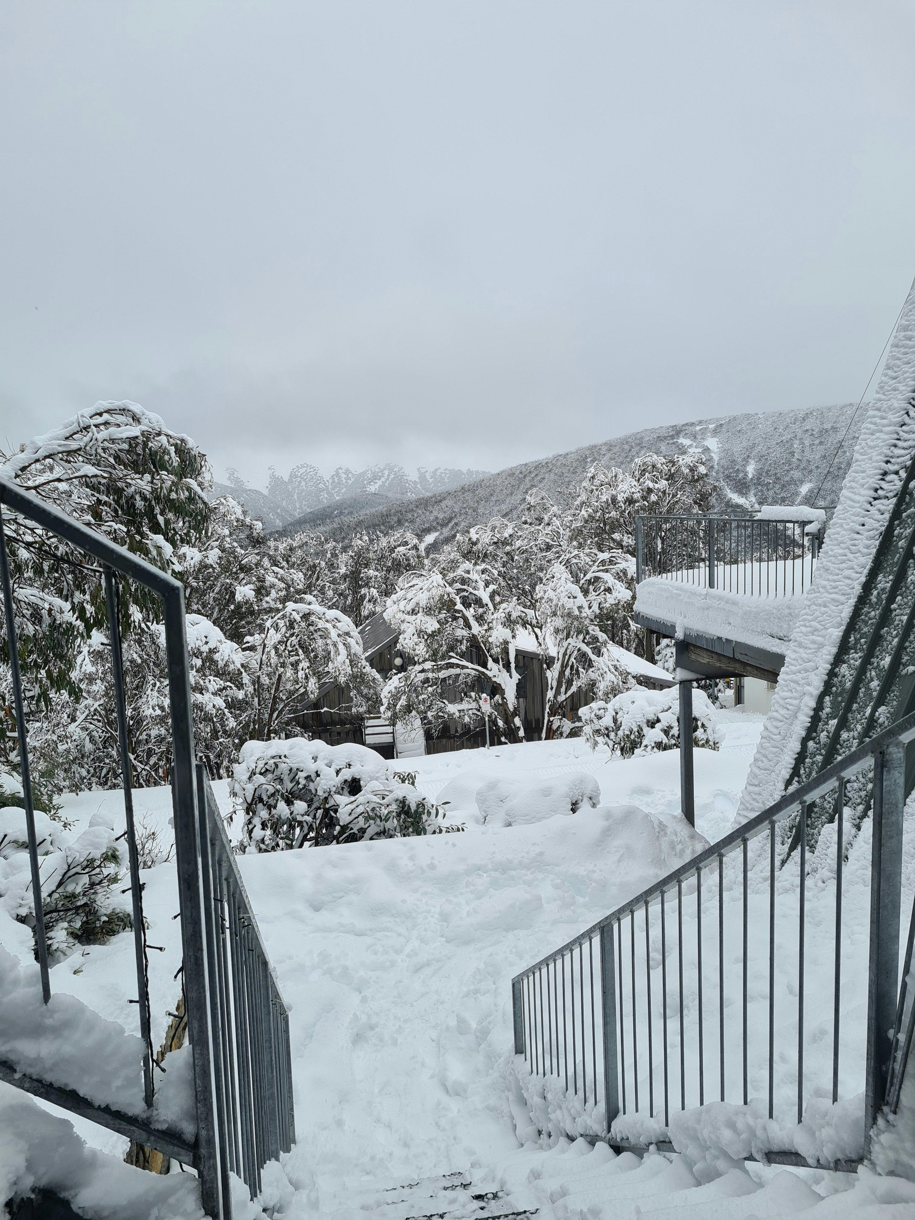 View from the First Floor