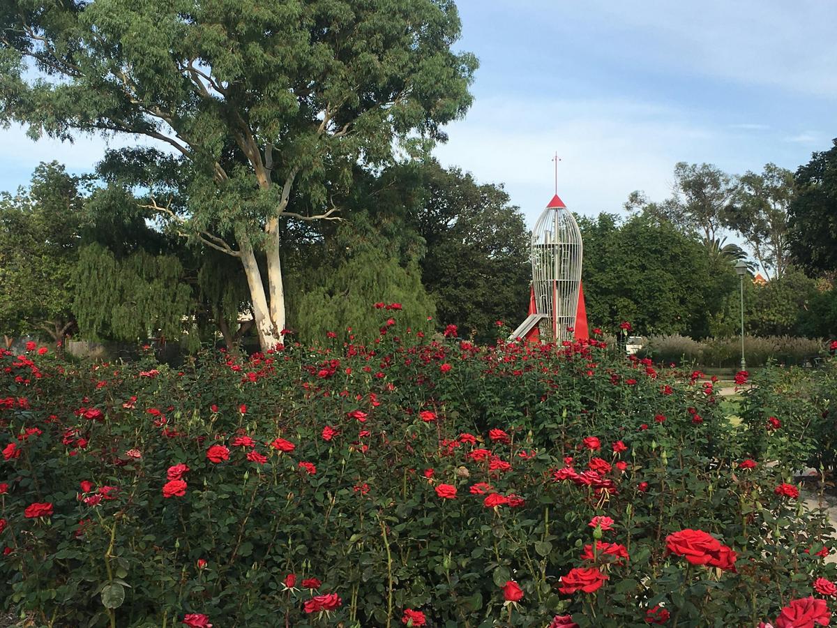 Rocket Park