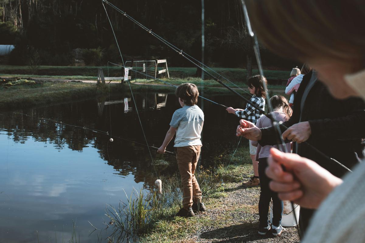 Fish adventure 1