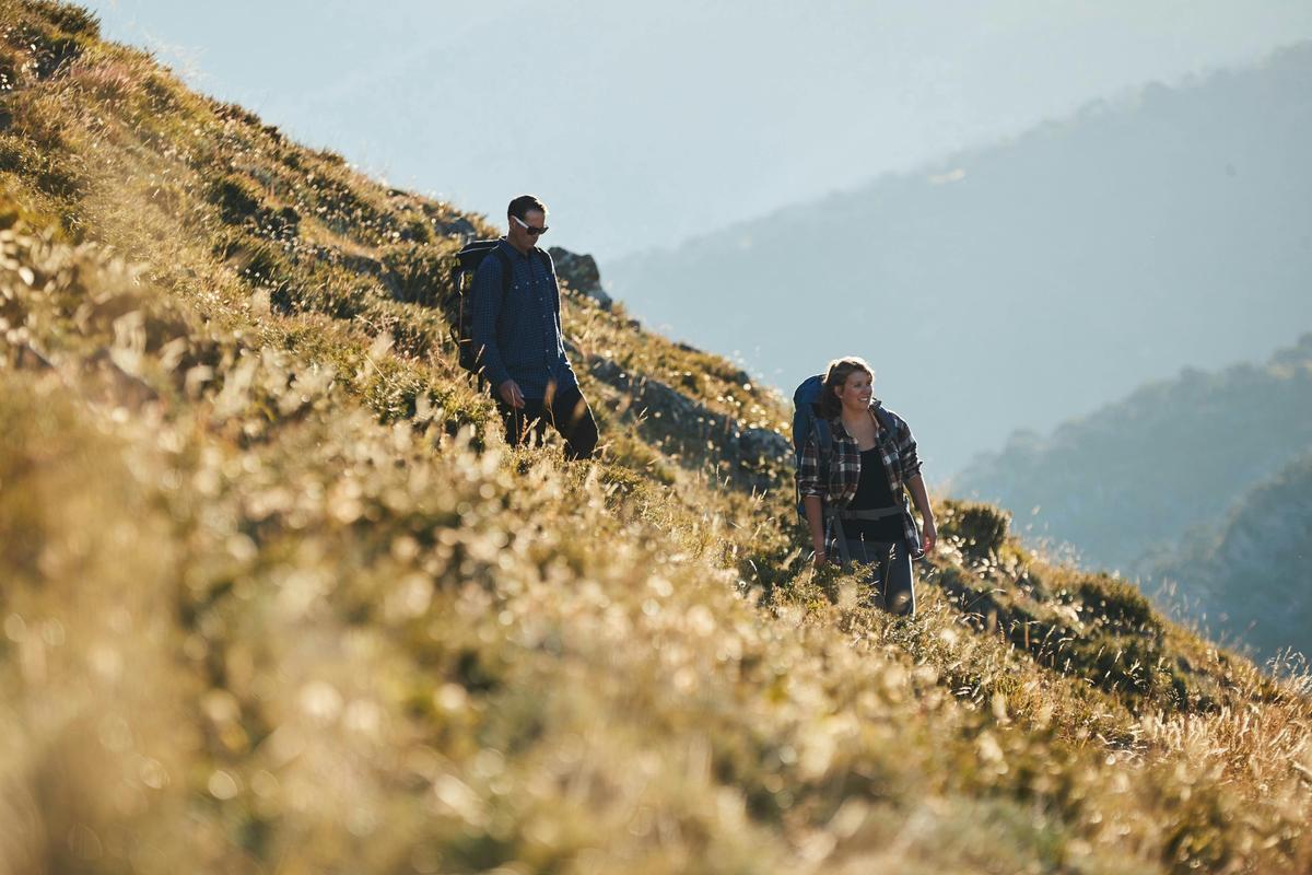 Falls to Hotham views