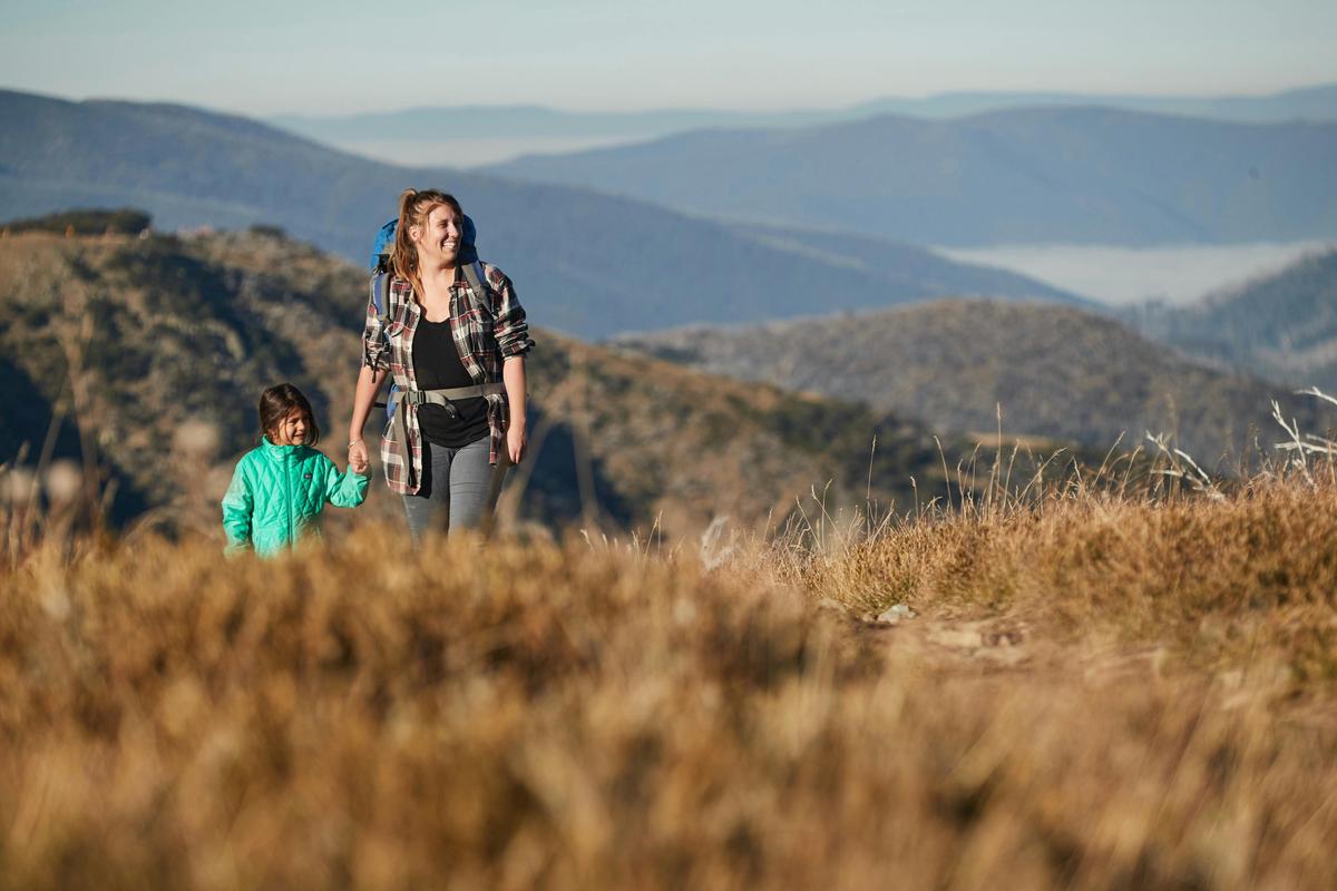 Falls to Hotham views