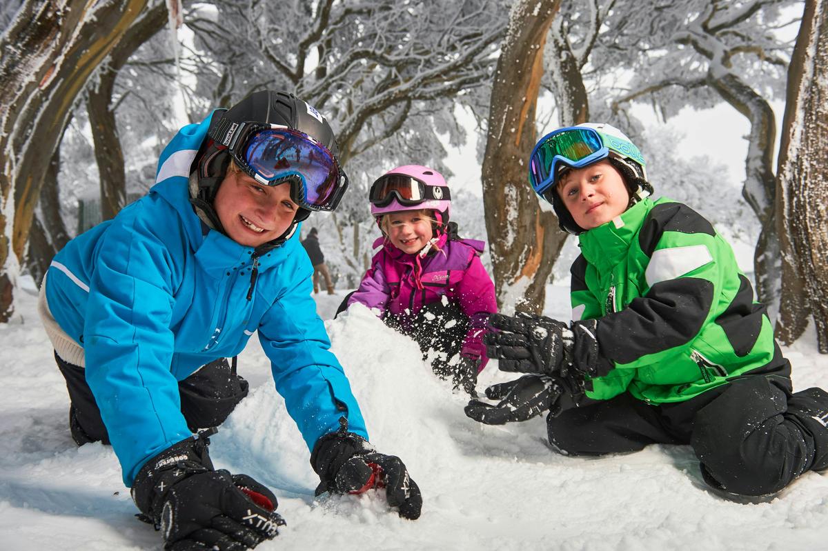 Mt Buller