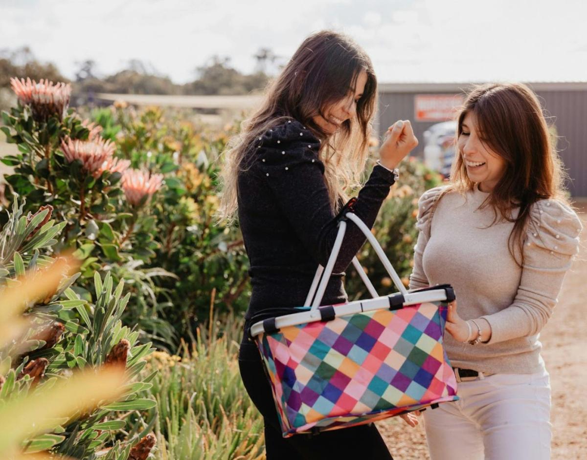 Friends on AmazingCo Mystery Picnic