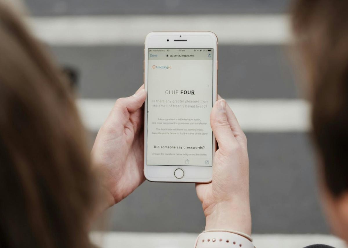 Solving Clues on a Mystery Picnic Experience