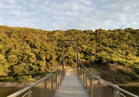 Discovery Walk on AmazingCo Mystery Picnic