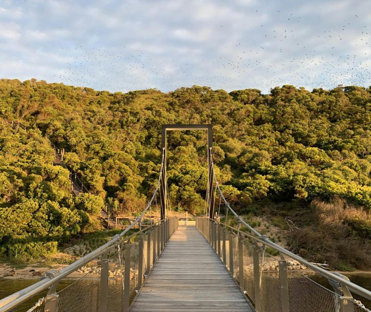 Scenic Stop on Mystery Picnic Experience