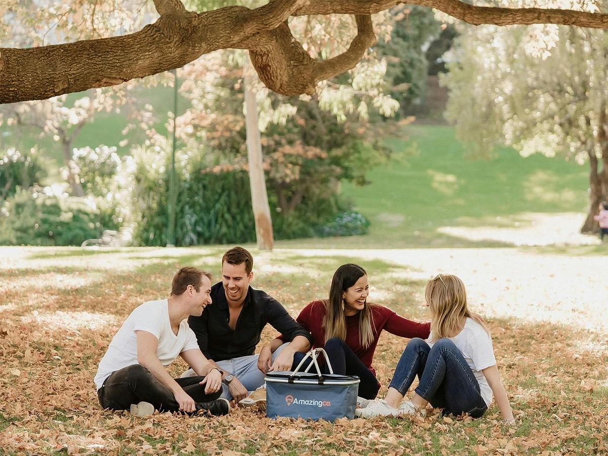 Friends on AmazingCo Mystery Picnic