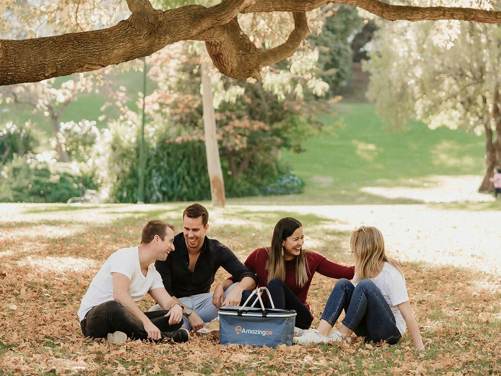 Friends on AmazingCo Mystery Picnic
