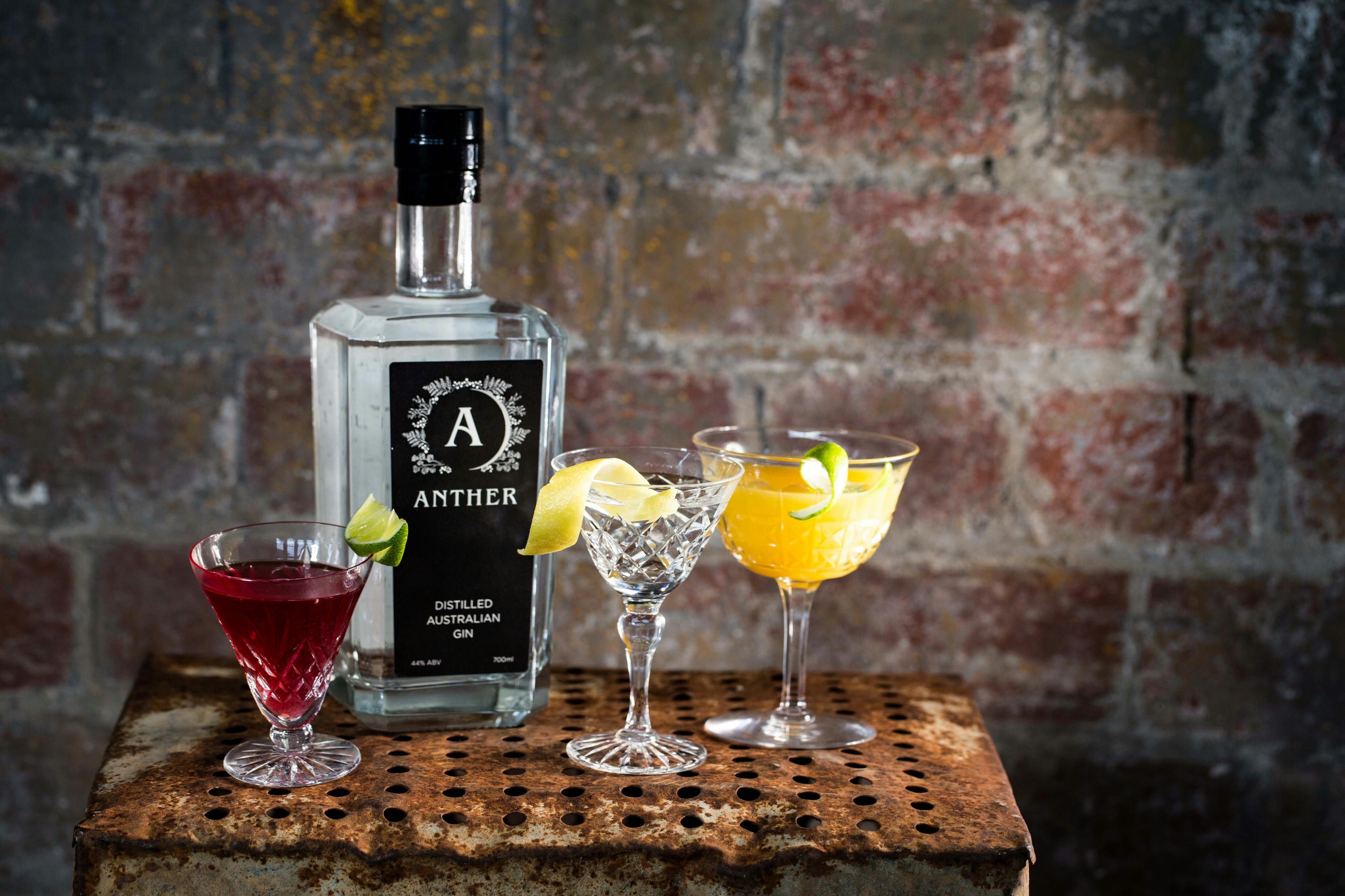 Anther Gin Martini's - enjoy seasonal cocktails at the Anther Distillery!