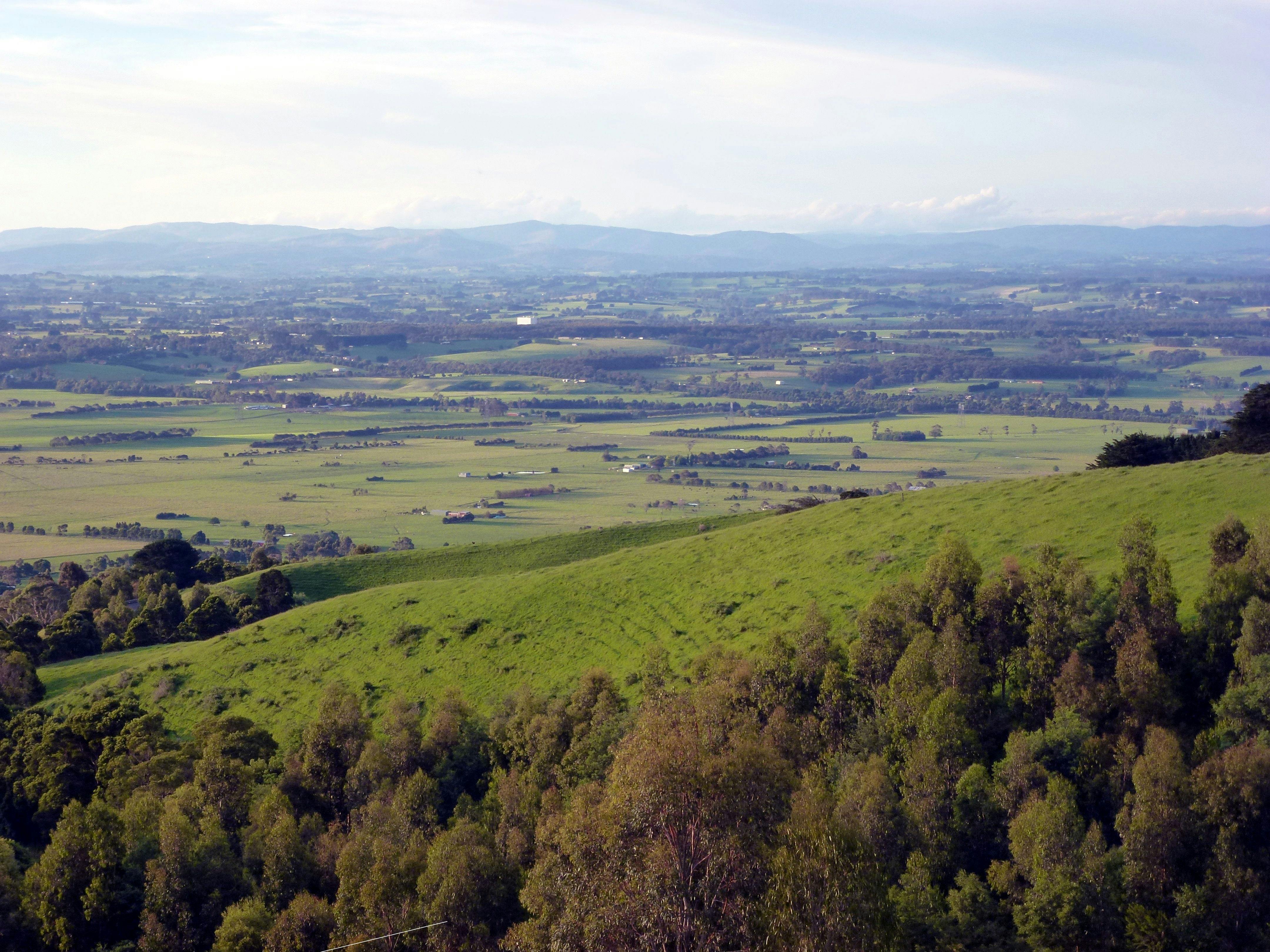 Just a part of the view from the cottages