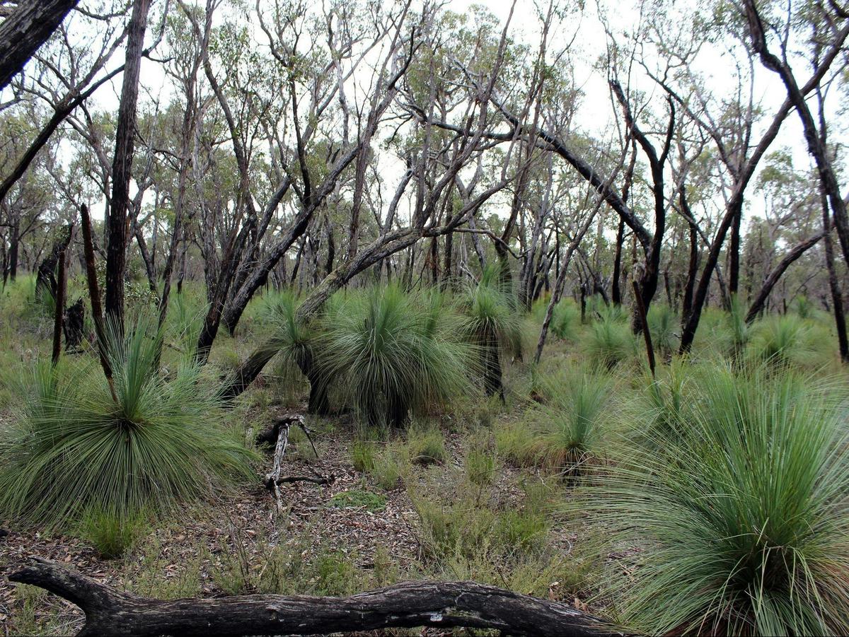 Annya Campground and walk