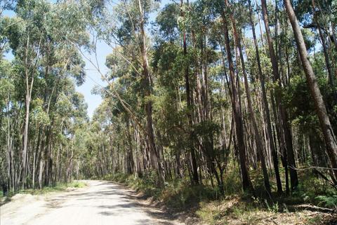 Alfred National Park