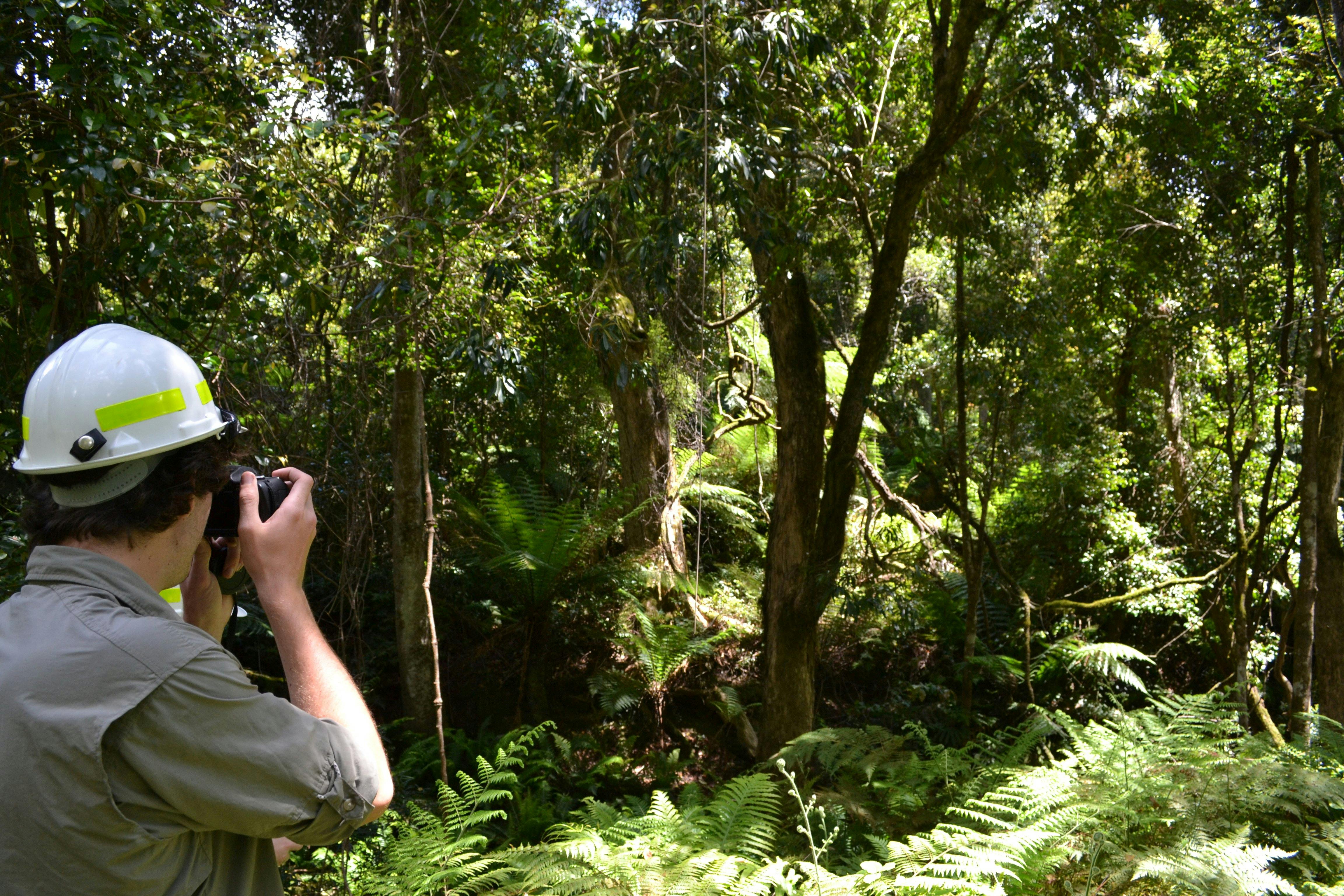 Alfred National Park