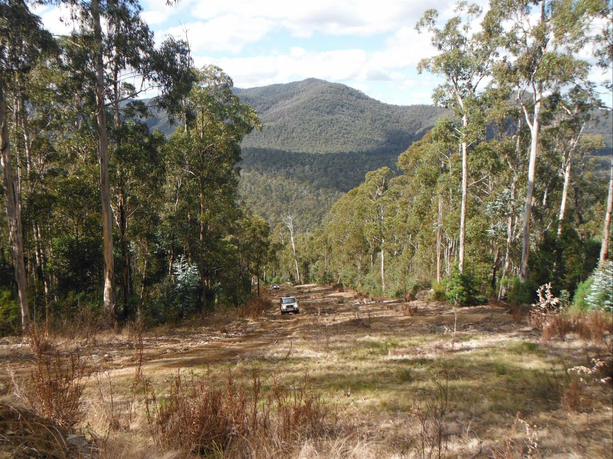 Cann River