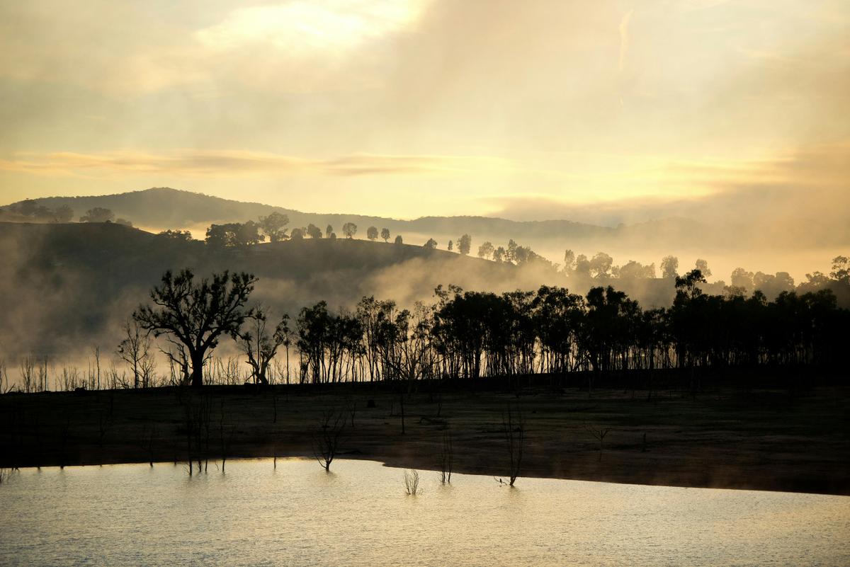 Misty morning light over Lake Eildon captures the tranquil beauty of Bonnie Doon’s High Country.