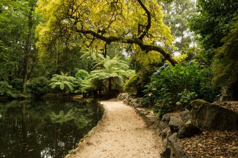Alfred Nicholas Memorial Gardens