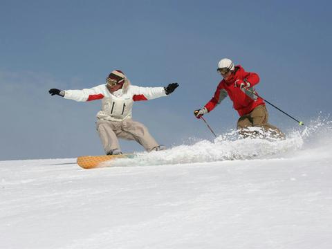 Alpine Helicopter Charter