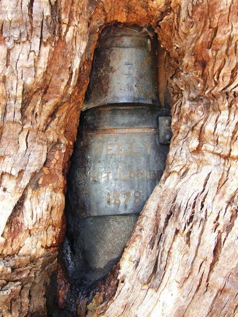 Alpine Helicopter Charter