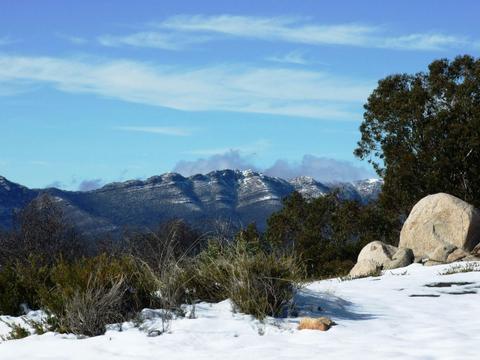 Alpine Helicopter Charter