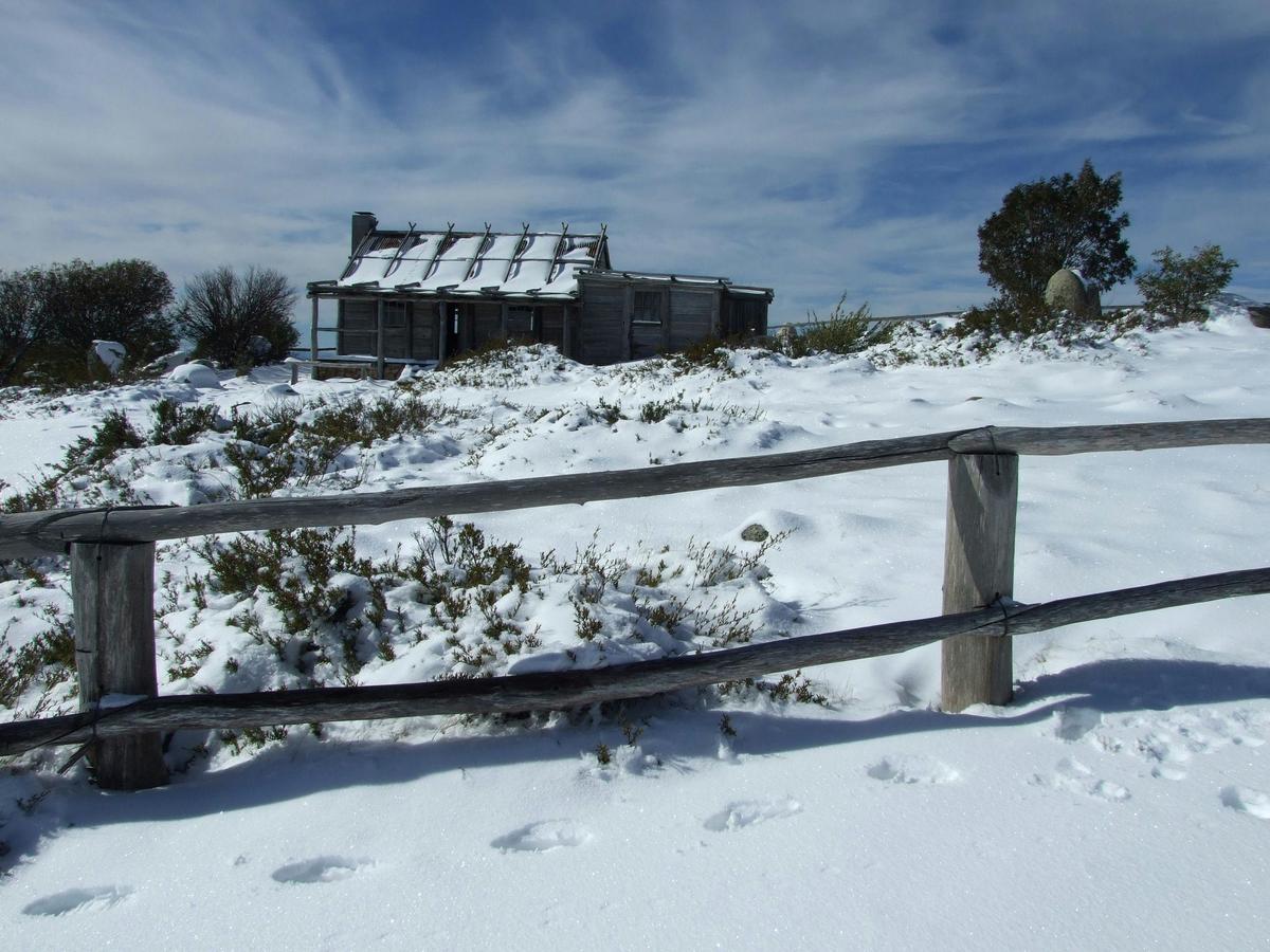 Alpine Helicopter Charter