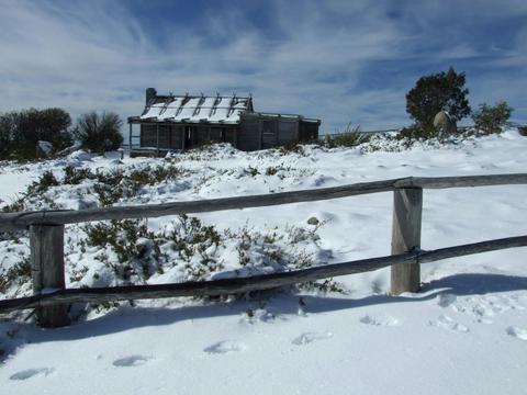 Alpine Helicopter Charter