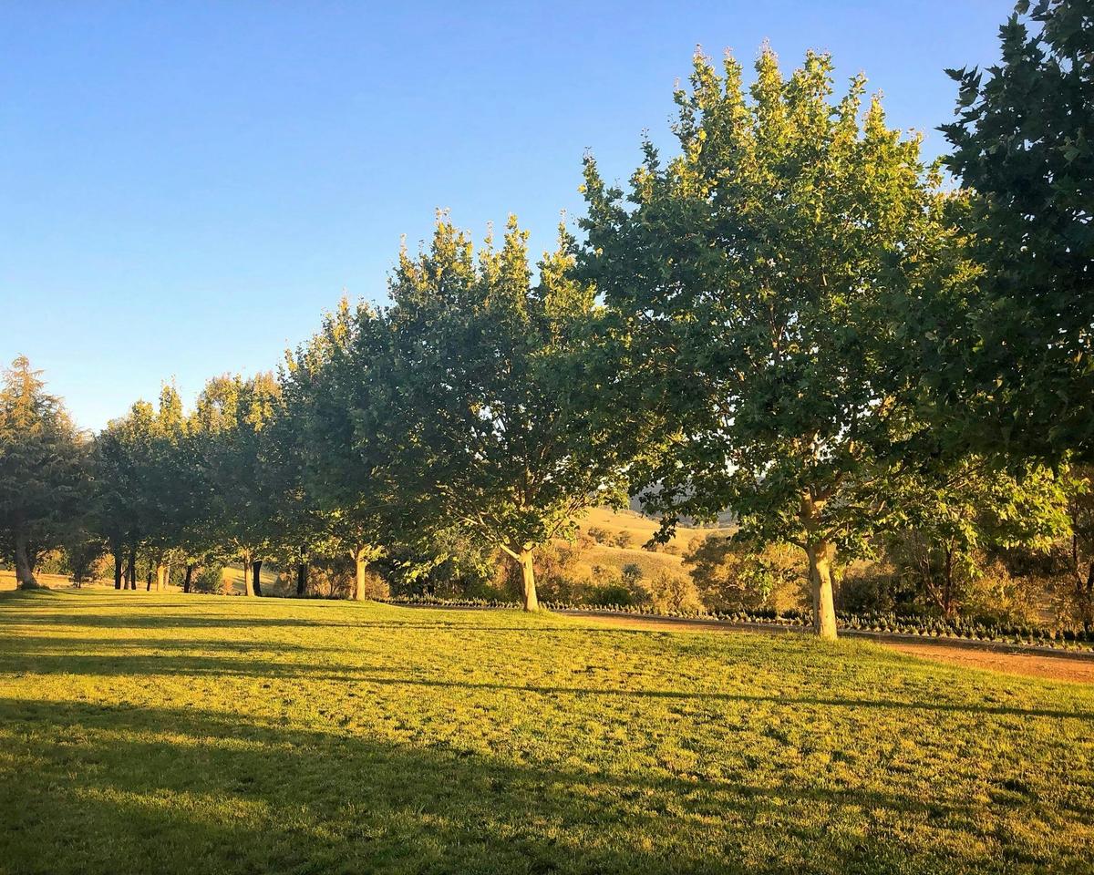 Annies Retreat Outdoor Event Centre