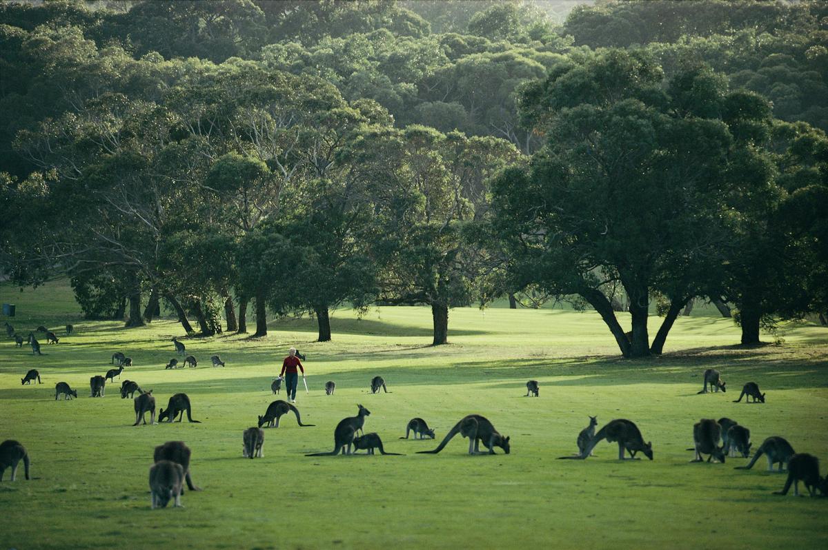 Angelsea Golf Course