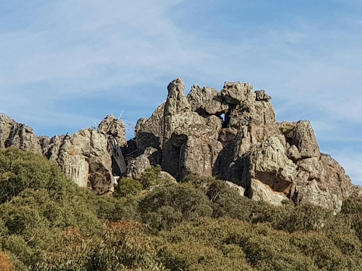 Mt Macedon Ranges And Daylesford