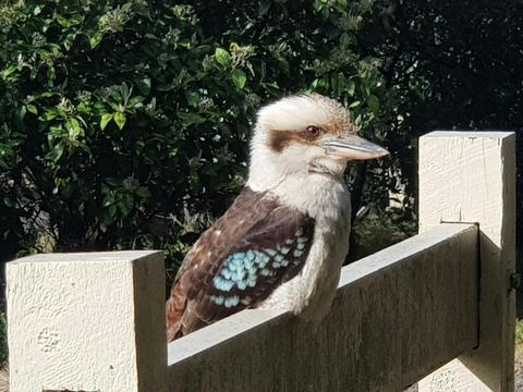 Mt Macedon Ranges And Daylesford