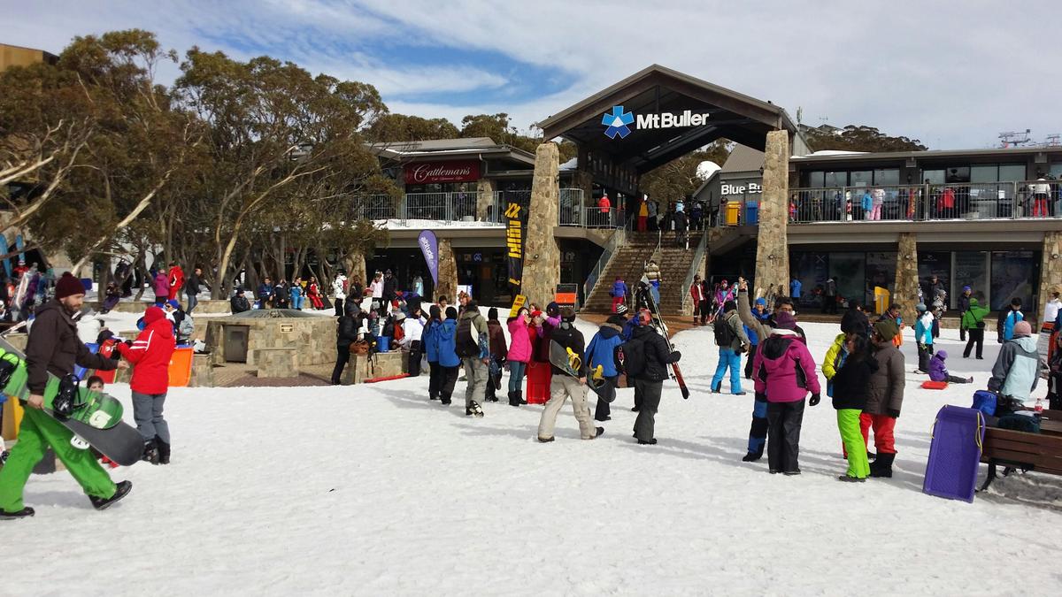 Mt Buller Tour